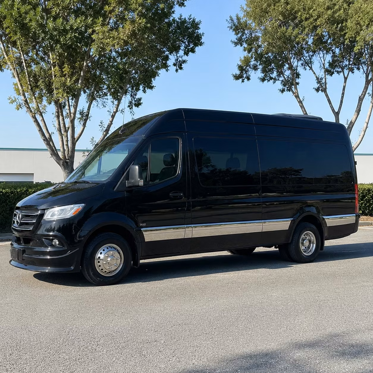 pleasanton sprinter limo rental
